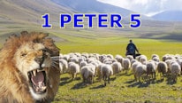 1 Peter 5