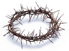 Crown of thorns